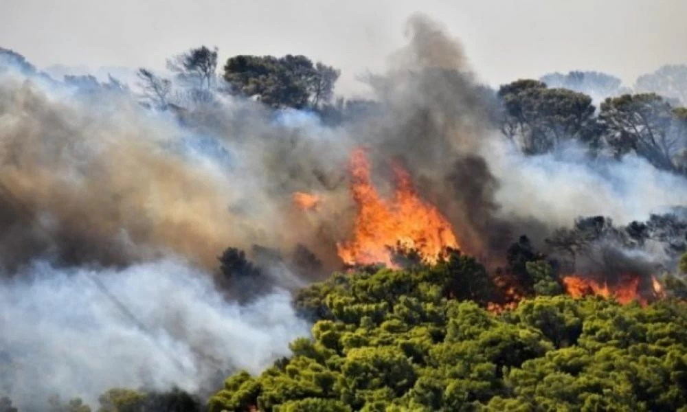 Φωτιά στο Γούμερο Ηλείας έξω από τον Πύργο